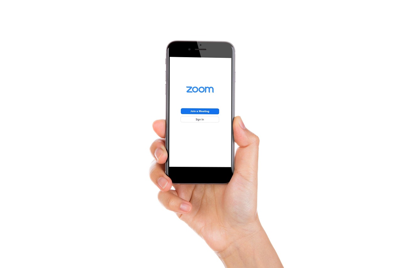 ZOOM Handy